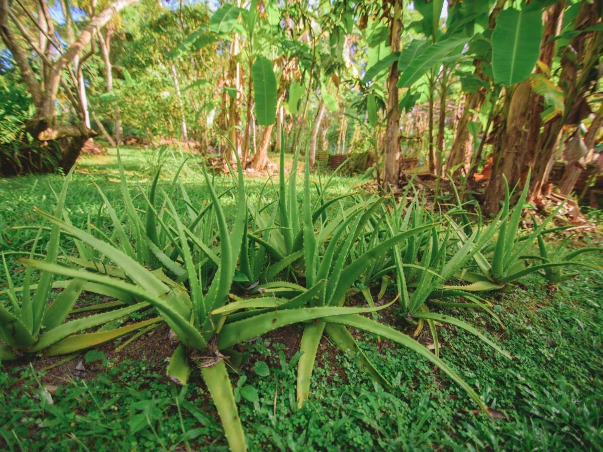 Thalpe Walawwa Heritage Villa Unawatuna Kültér fotó